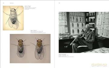 Crossing Over: Art and Science at Caltech, 1920-2020 - Peter Sachs Collopy [KSIĄŻKA]