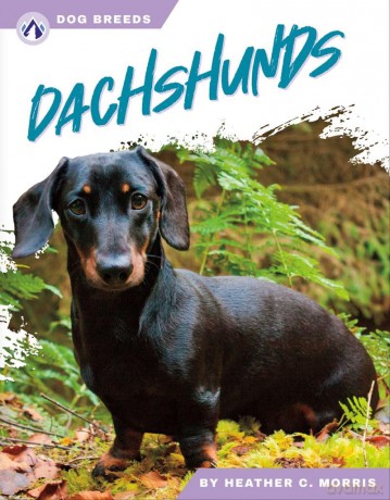 Dachshunds (Dog Breeds Series) - Morris [KSIĄŻKA]