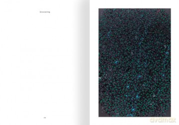 Damien Hirst: Reverence, Revelation, Devotion - Damien Hirst [KSIĄŻKA]