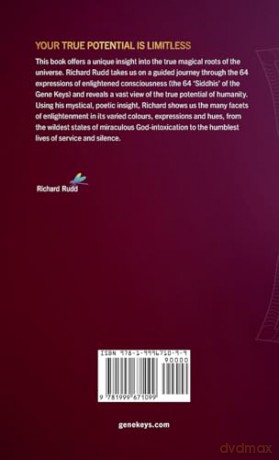 Dare to be Divine: A Journey into the Miraculous - Richard Rudd [KSIĄŻKA]