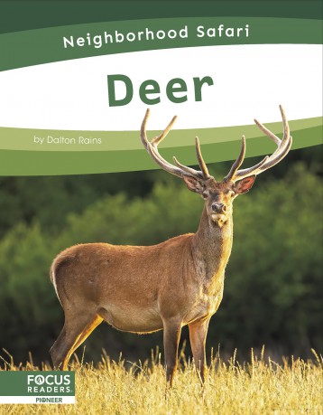 Deer (Neighborhood Safari Set 2) - Dalton Rains [KSIĄŻKA]