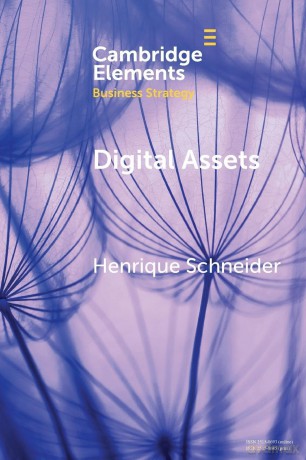 Digital Assets: A Portfolio Perspective (Elements in Business Strategy) - Schneider [KSIĄŻKA]