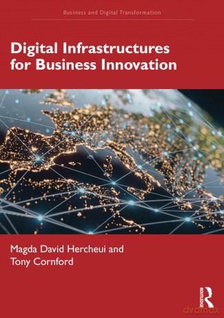 Digital Infrastructures for Business Innovation (Business and Digital Transformation) - Magda David Hercheui [KSIĄŻKA]