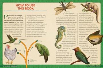 Dinosaurs to Chickens: How Evolution Works - Nick Lund [KSIĄŻKA]