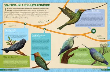Dinosaurs to Chickens: How Evolution Works - Nick Lund [KSIĄŻKA]