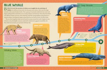 Dinosaurs to Chickens: How Evolution Works - Nick Lund [KSIĄŻKA]