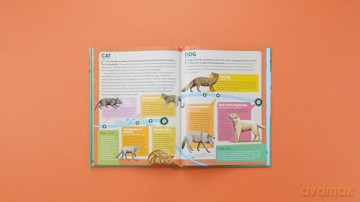 Dinosaurs to Chickens: How Evolution Works - Nick Lund [KSIĄŻKA]