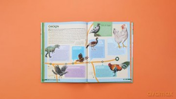 Dinosaurs to Chickens: How Evolution Works - Nick Lund [KSIĄŻKA]