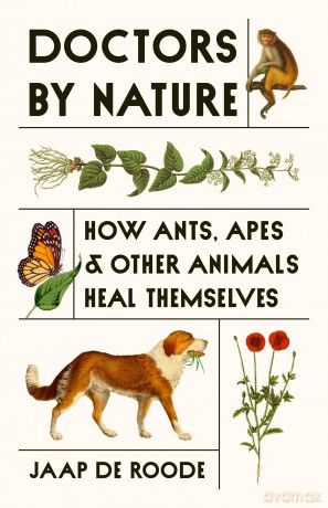 Doctors by Nature: How Ants, Apes, and Other Animals Heal Themselves - Jaap de Roode [KSIĄŻKA]