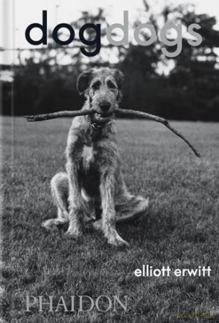 DogDogs - P G Wodehouse [KSIĄŻKA]