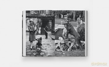 DogDogs - P G Wodehouse [KSIĄŻKA]