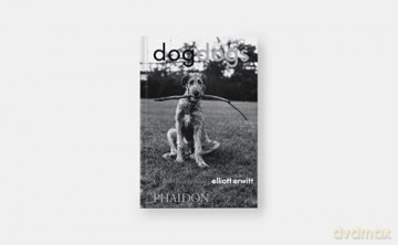 DogDogs - P G Wodehouse [KSIĄŻKA]