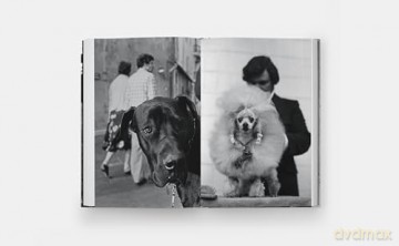 DogDogs - P G Wodehouse [KSIĄŻKA]
