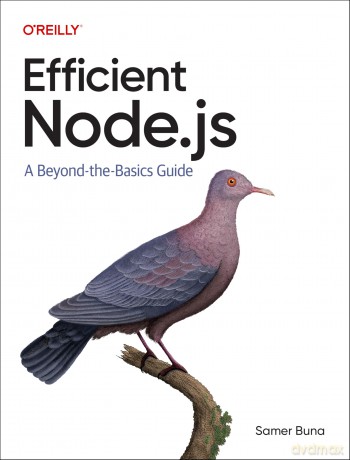 Efficient Node.Js: A Beyond-The-Basics Guide - Samer Buna [KSIĄŻKA]