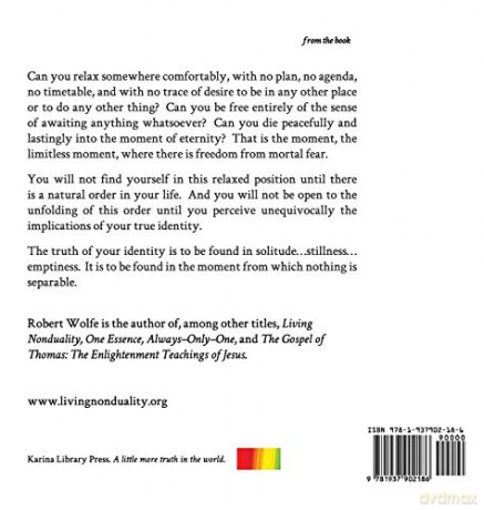 Elementary Cloudwatching: 31 Meditations on Living Without Time - Robert Wolfe [KSIĄŻKA]