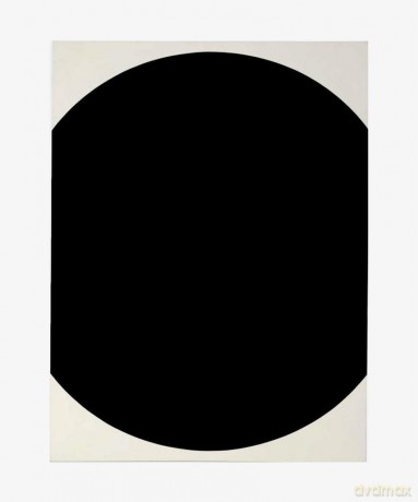 Ellsworth Kelly - Emily Wei Rales [KSIĄŻKA]