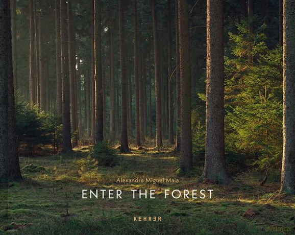 Enter the Forest: Alexandre Miguel Maia - Maia [KSIĄŻKA]
