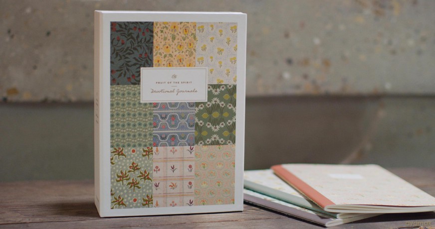 ESV Devotional Journal, Fruit of the Spirit: Box Set [KSIĄŻKA]