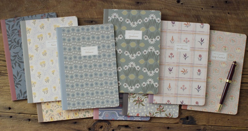 ESV Devotional Journal, Fruit of the Spirit: Box Set [KSIĄŻKA]