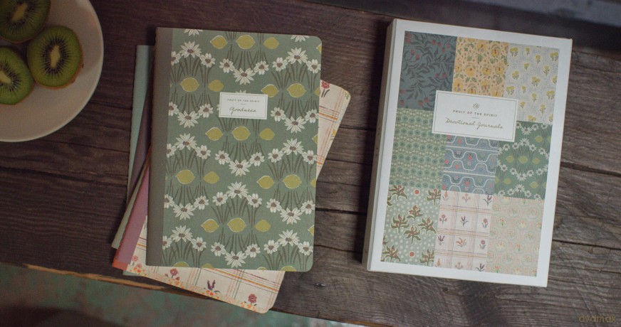 ESV Devotional Journal, Fruit of the Spirit: Box Set [KSIĄŻKA]