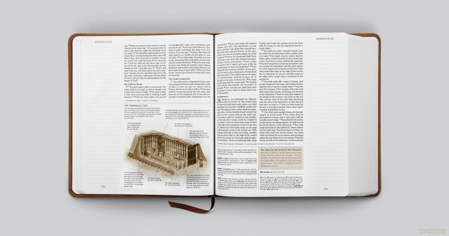 ESV Journaling Study Bible (TruTone over Board, Nubuck Caramel) [KSIĄŻKA]