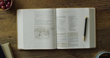 ESV Journaling Study Bible (TruTone over Board, Nubuck Caramel) [KSIĄŻKA]