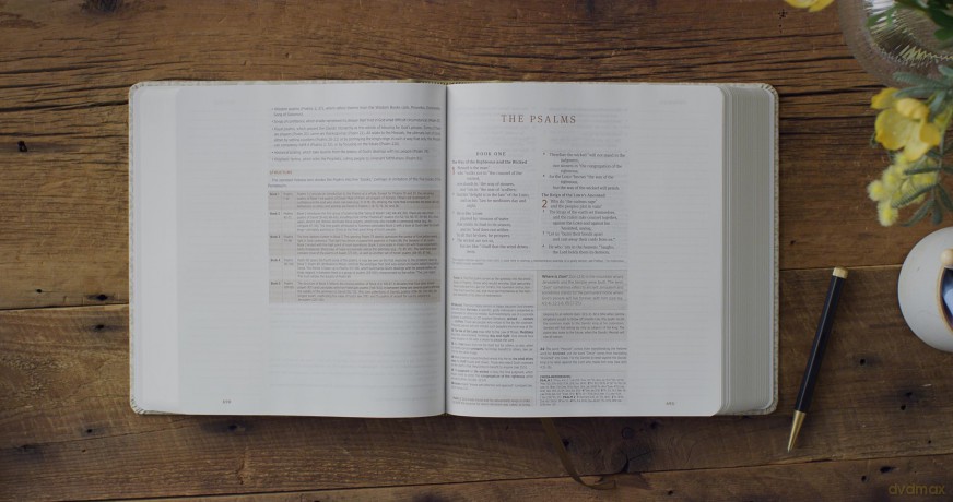ESV Journaling Study Bible, Artist Series (Cloth over Board, Lulie Wallace, Isa): English Standard Version Journaling Study Bible With Ribbon Marker [KSIĄŻKA]