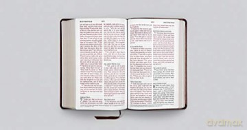 ESV Large Print Personal Size Bible (TruTone, Chestnut): English Standard Version, Chestnut, Trutone, Personal Size Bible [KSIĄŻKA]