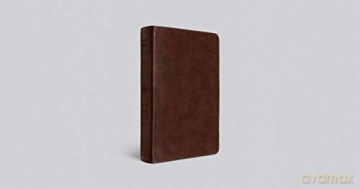 ESV Large Print Personal Size Bible (TruTone, Chestnut): English Standard Version, Chestnut, Trutone, Personal Size Bible [KSIĄŻKA]