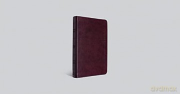 ESV Large Print Thinline Bible, TruTone, Mahogany: Esv Thinline Bible Trutone, Mahogany [KSIĄŻKA]