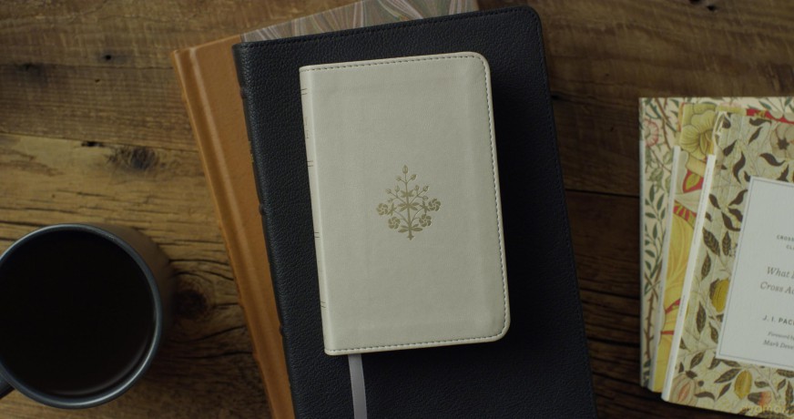 ESV Pocket Bible (TruTone, Stone, Branch Design): English Standard Version, Trutone, Stone, Branch Design Pocket Bible With Ribbon Marker [KSIĄŻKA]