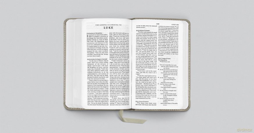 ESV Pocket Bible (TruTone, Stone, Branch Design): English Standard Version, Trutone, Stone, Branch Design Pocket Bible With Ribbon Marker [KSIĄŻKA]