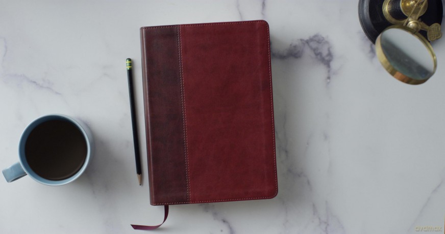ESV Single Column Journaling Bible, Large Print (TruTone, Burgundy/Red, Timeless Design): Esv Single Column Journaling Bible, Trutone, Burgundy/red, Timeless Design [KSIĄŻKA]