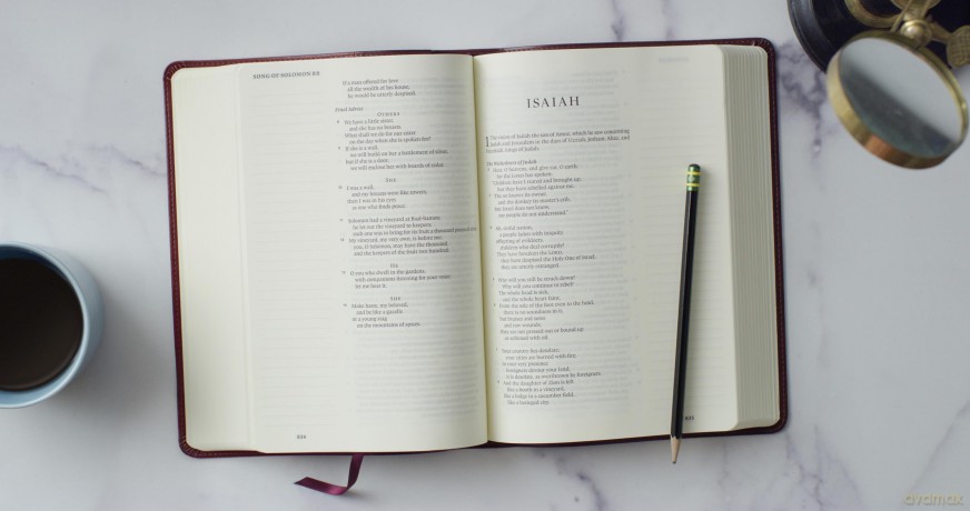 ESV Single Column Journaling Bible, Large Print (TruTone, Burgundy/Red, Timeless Design): Esv Single Column Journaling Bible, Trutone, Burgundy/red, Timeless Design [KSIĄŻKA]