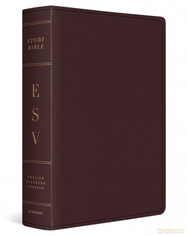 ESV Study Bible, Large Print, Burgundy: Esv Study Bible, Burgundy [KSIĄŻKA]