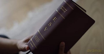 ESV Study Bible, Large Print, Burgundy: Esv Study Bible, Burgundy [KSIĄŻKA]