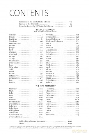 ESV-CE Catholic Bible. The Official Liturgical Bible for England, Wales and Scotland from Advent 24: Anglicized English Standard Version - Catholic Edition in Soft-tone Flexiback Binding - SPCK ESV-CE Bibles [KSIĄŻKA]