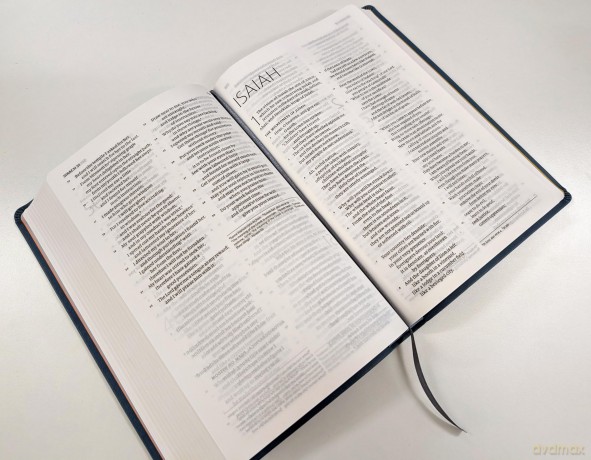 ESV-CE Catholic Bible. The Official Liturgical Bible for England, Wales and Scotland from Advent 24: Anglicized English Standard Version - Catholic Edition in Soft-tone Flexiback Binding - SPCK ESV-CE Bibles [KSIĄŻKA]