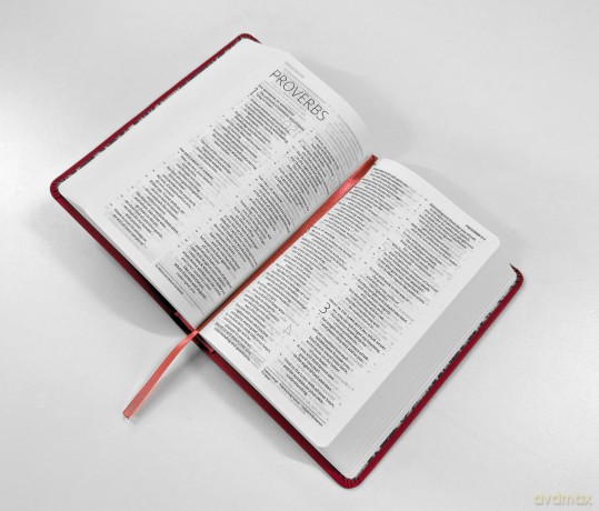 ESV-CE Catholic Bible. The Official Liturgical Bible for England, Wales and Scotland from Advent 24: Anglicized Pocket Edition: English Standard Version - Catholic Edition in Pink Flexiback Binding - SPCK ESV-CE Bibles [KSIĄŻKA]
