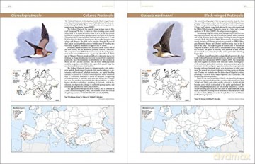 European Breeding Bird Atlas 2: Distribution, Abundance and Change - Verena Keller [KSIĄŻKA]