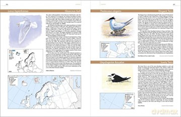European Breeding Bird Atlas 2: Distribution, Abundance and Change - Verena Keller [KSIĄŻKA]