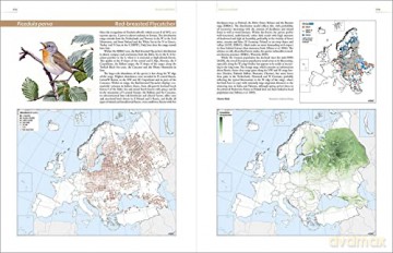 European Breeding Bird Atlas 2: Distribution, Abundance and Change - Verena Keller [KSIĄŻKA]