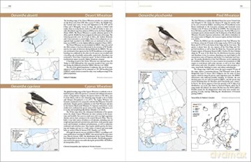 European Breeding Bird Atlas 2: Distribution, Abundance and Change - Verena Keller [KSIĄŻKA]