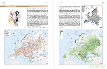 European Breeding Bird Atlas 2: Distribution, Abundance and Change - Verena Keller [KSIĄŻKA]
