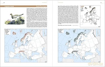 European Breeding Bird Atlas 2: Distribution, Abundance and Change - Verena Keller [KSIĄŻKA]