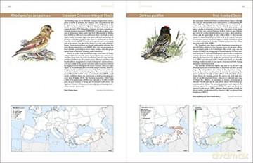 European Breeding Bird Atlas 2: Distribution, Abundance and Change - Verena Keller [KSIĄŻKA]