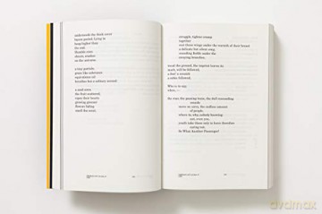 Eva Hesse: Diaries - Eva Hesse [KSIĄŻKA]