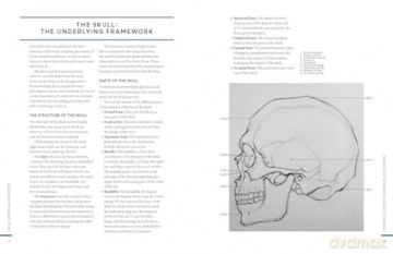 Facial Expressions for Artists: Techniques for Capturing Emotion and Mood in Portrait and Character Drawings (10) - Oliver Sin [KSIĄŻKA]