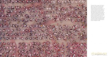 Feed the Planet: A Photographic Journey to the World's Food - Michael Pollan [KSIĄŻKA]