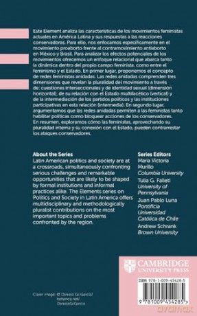 Feminismos en América Latina: Redes anidadas por el derecho al aborto en México y Brasil (Elements in Politics and Society in Latin America) - Debora Rezende de Almeida Gisela Zaremberg [KSIĄŻKA]